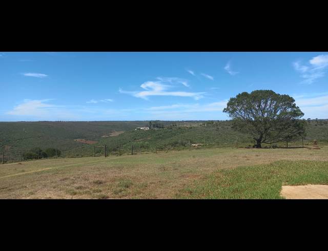 9HA FARM FOR SALE IN UITENHAGE CENTRAL